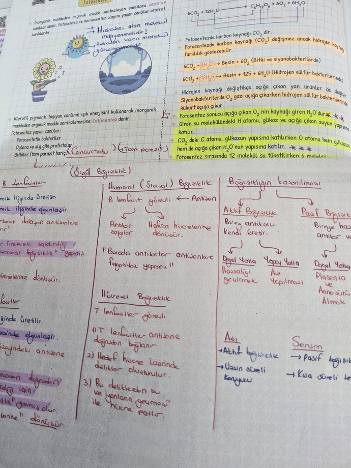 Bugün için planınız ne?