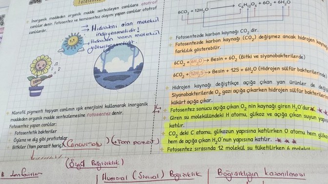 Bugün için planınız ne?