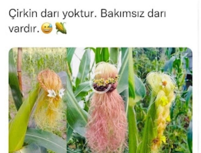 Öncelikle kendim için sonrada zalımın oğlu için açmam o aralığı 🤣🤭💇