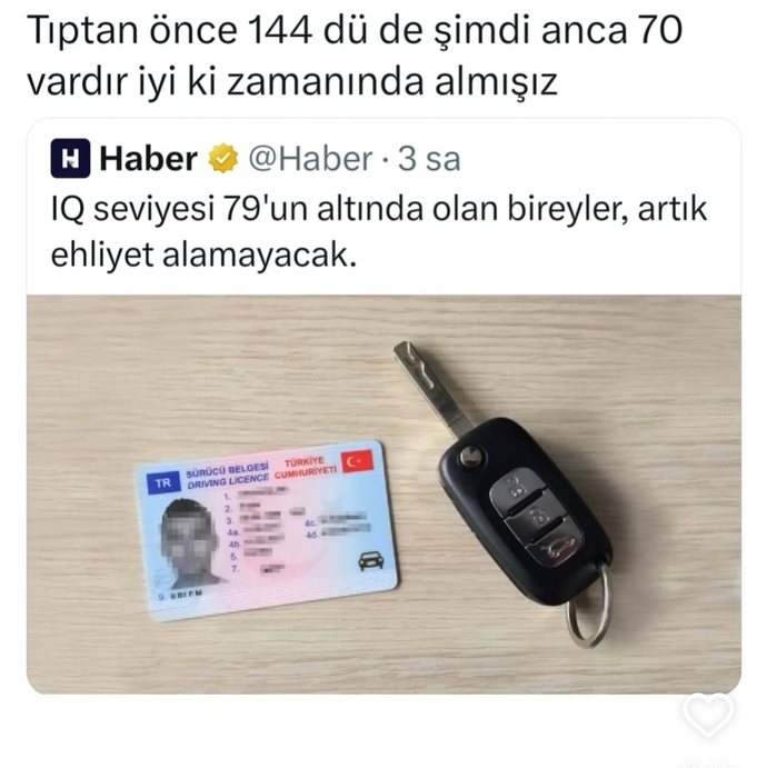 Ehliyetiniz var mı? Yoksa yandınız?