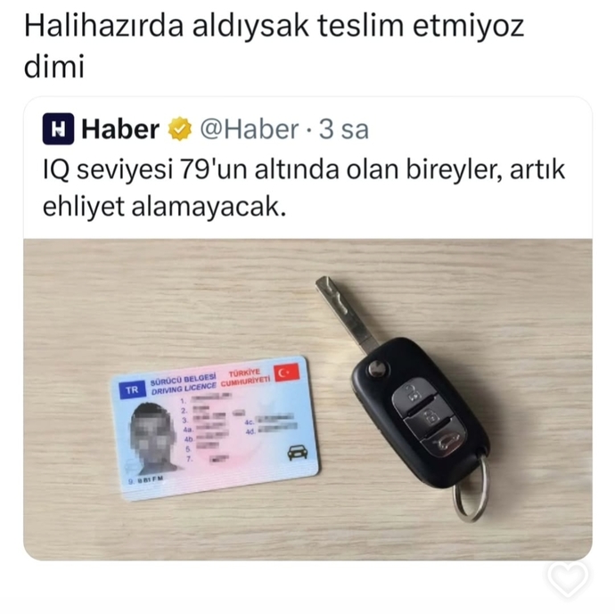 Ehliyetiniz var mı? Yoksa yandınız?