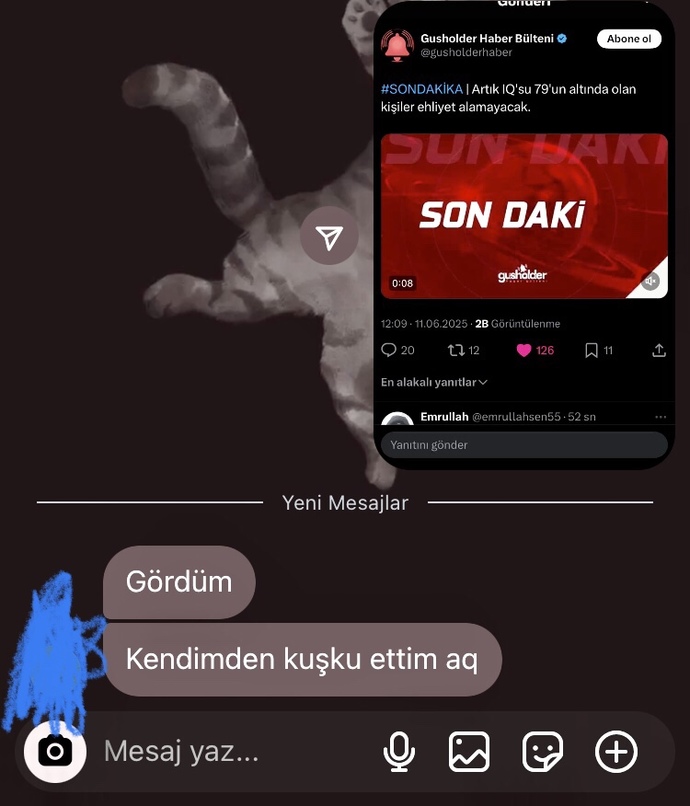 Iq’ya göre ehliyet sizce de saçma değil mi?
