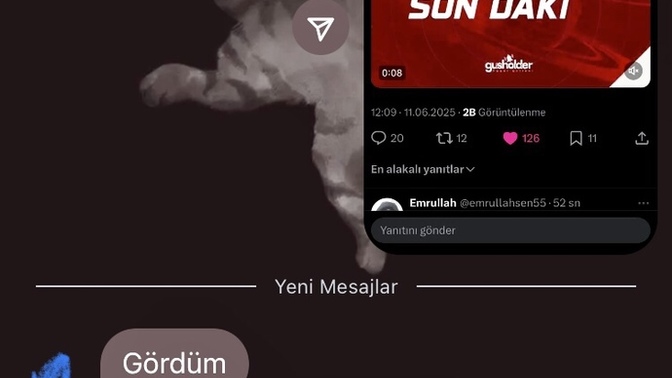 Iq’ya göre ehliyet sizce de saçma değil mi?