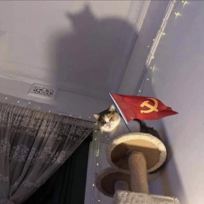Türkiye sizce hangi ideolojiyle yönetilmeli?