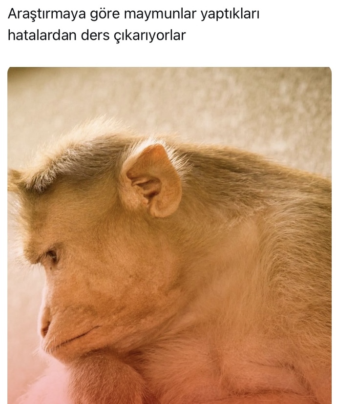 Hatalarınızdan ders çıkarır mısınız?