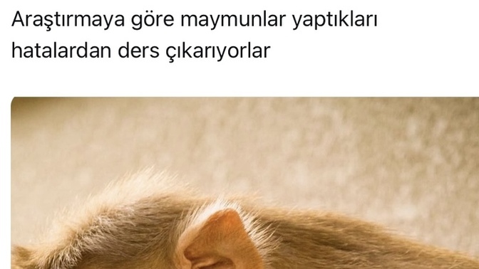 Hatalarınızdan ders çıkarır mısınız?