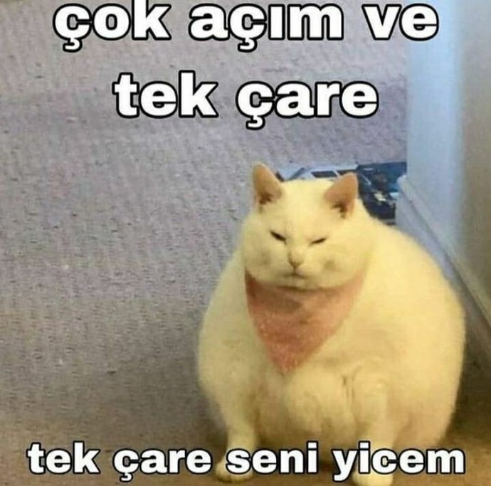 Sabah açlığı sizi de deli ediyor mu?