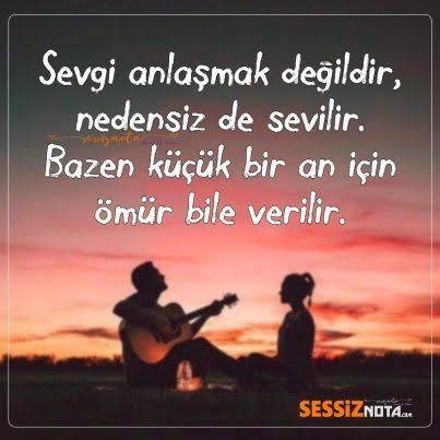 Sevgi anlaşmak değildir nedensiz de sevilir Mİ?