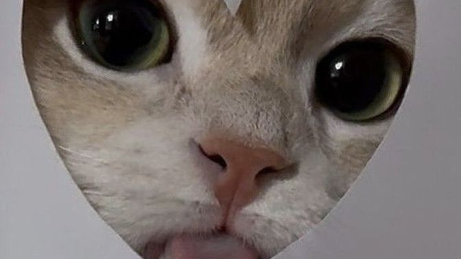 Eğer sabah alarmı bir karakter olsaydı, sana ne derdi?