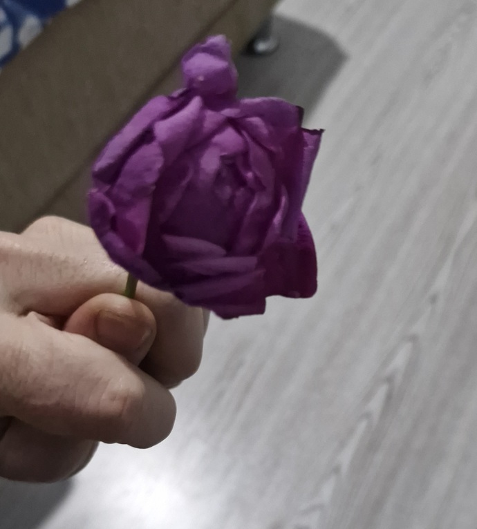 Galerinizdeki en saçma resim nedir?
