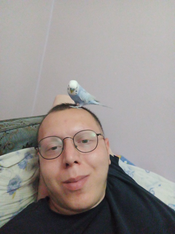 Muhabbet kuşum çok tatlı değil mi?