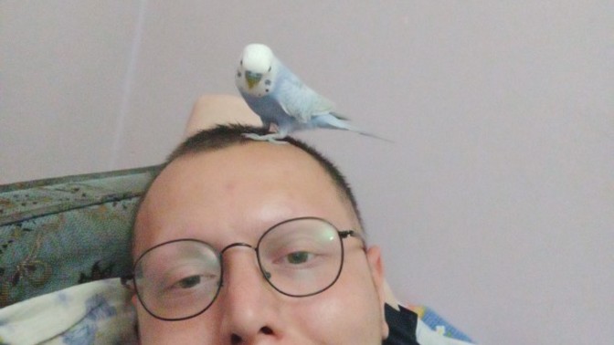 Muhabbet kuşum çok tatlı değil mi?