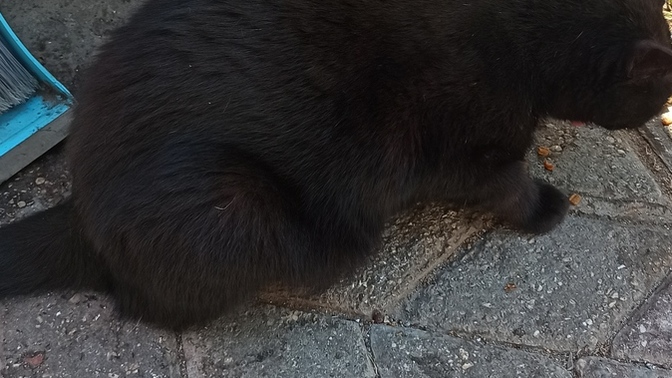 Bugün şahane bir gün. En son ne zaman çiçek kokladin?