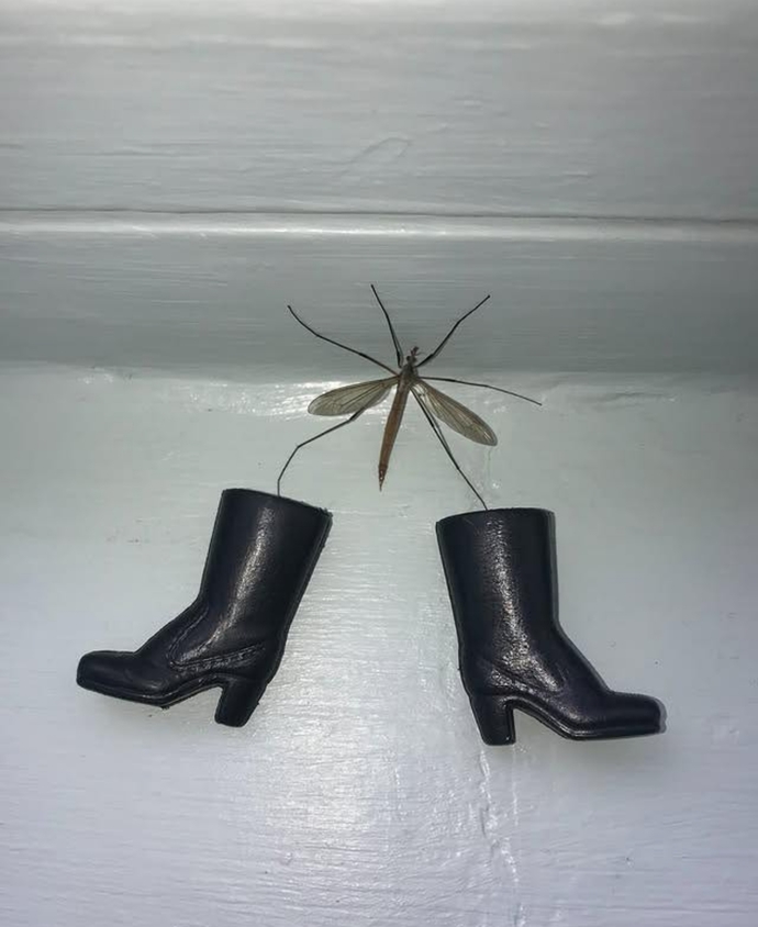 Sivrisineğim bu havada bot giyimiş sizce üşümemek için mi giydi yoksa dikkat çekmek için mi giymiştir?