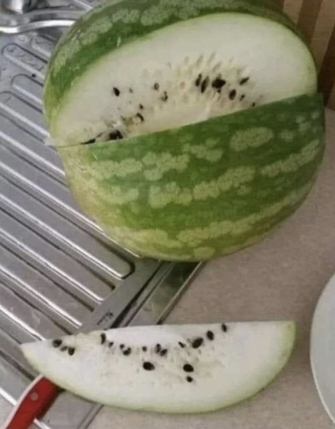 Yarım saat bakıp şaplak ata ata 70 TL verip aldığım karpuz?