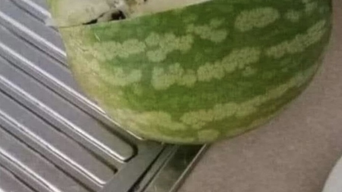 Yarım saat bakıp şaplak ata ata 70 TL verip aldığım karpuz?