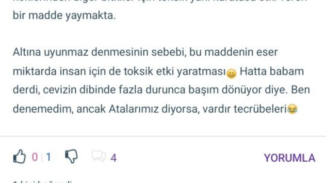 Chatgbt ile normal görüş arasındaki farkı biliyor musunuz😀?