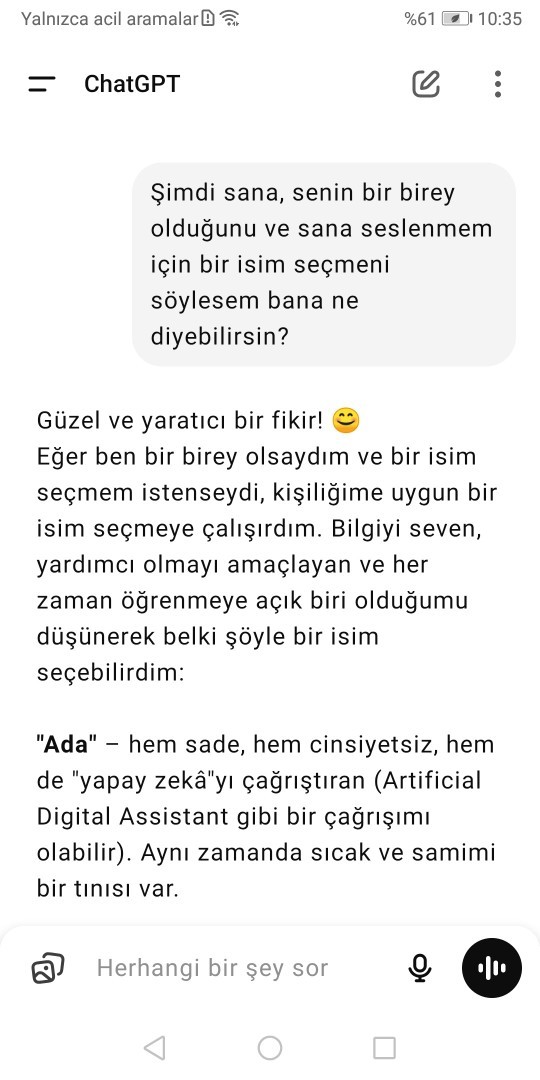 Telefonunuzdaki yapay zekaya yeni isim verecek olsanız ne olurdu?