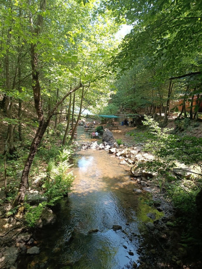 Günaydın 🥰 harika bir ortam değil mi?