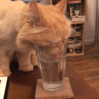 Yazın gelmesiyle birlikte günde kaç litre su içiyorsunuz?