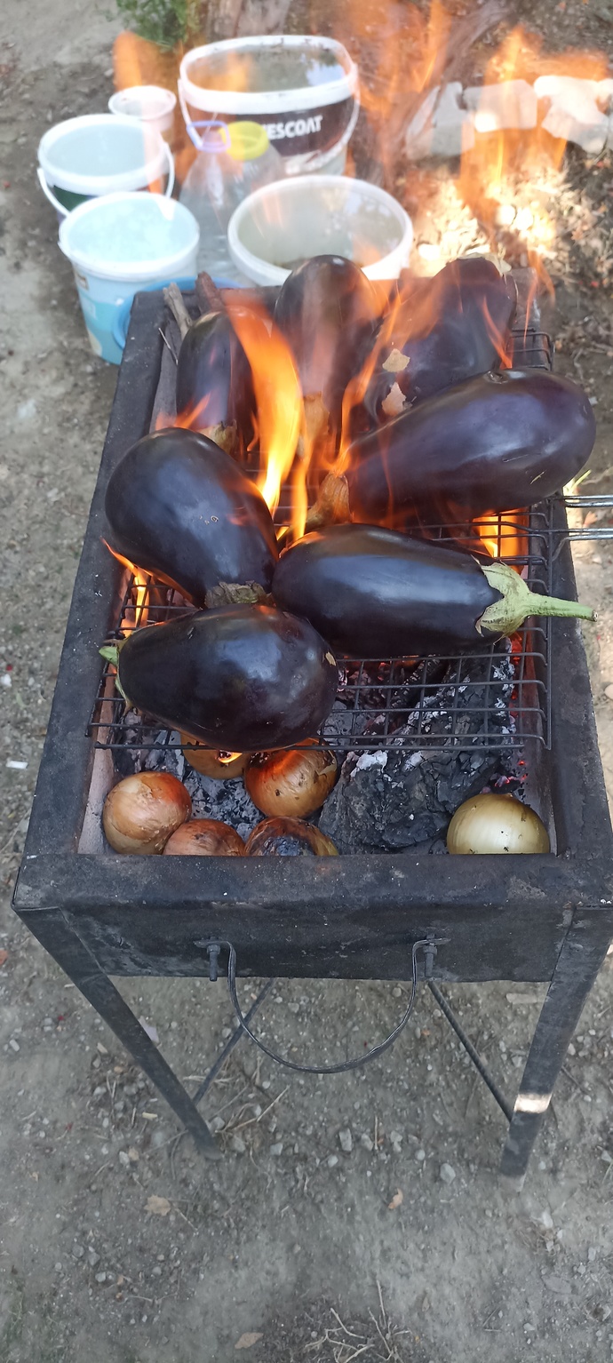 Akşam yemeğinde böyle yemek yaparmisiniz?