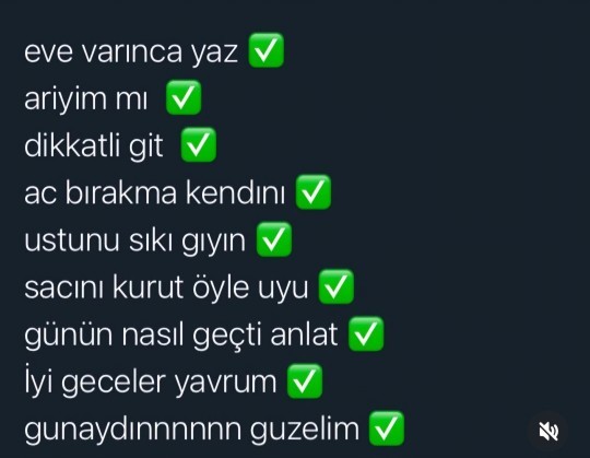 Sizin aşk anlaşıyışınız nasıl?
