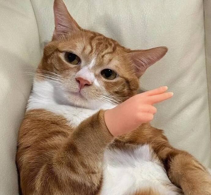 hiç bir şey olmaz bacım sen kendin olduğun sürece güzelsin kimseyi takma.