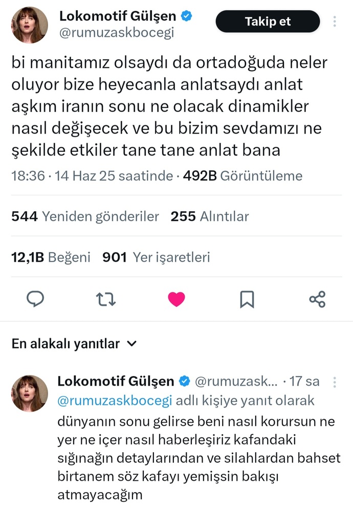 İşi gücü siyaset olan erkekler cok çekici degil mi?