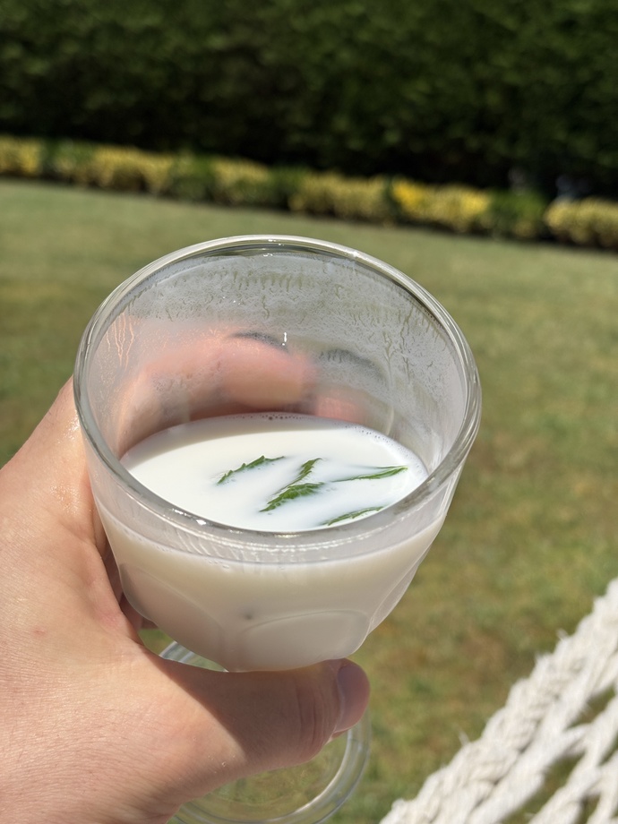 Ev yapımı, naneli ayran sever misin? Bugünkü bu iyi havayı nasıl değerlendiriyorsun🌞😎🥤?