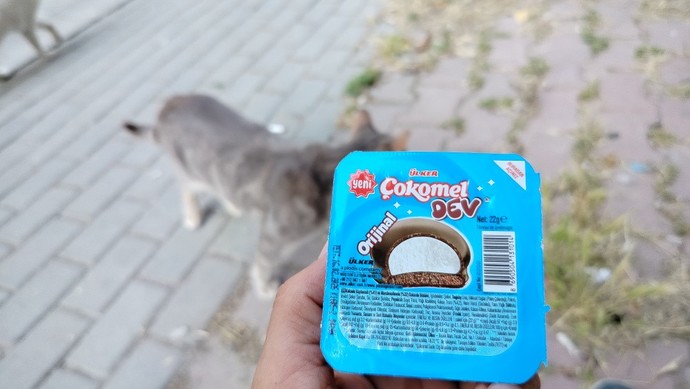 Açarım ağzımı ben onu tek hamlede yerim dediğiniz şey nedir?