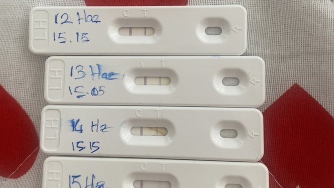 Ovulasyon testi acill?