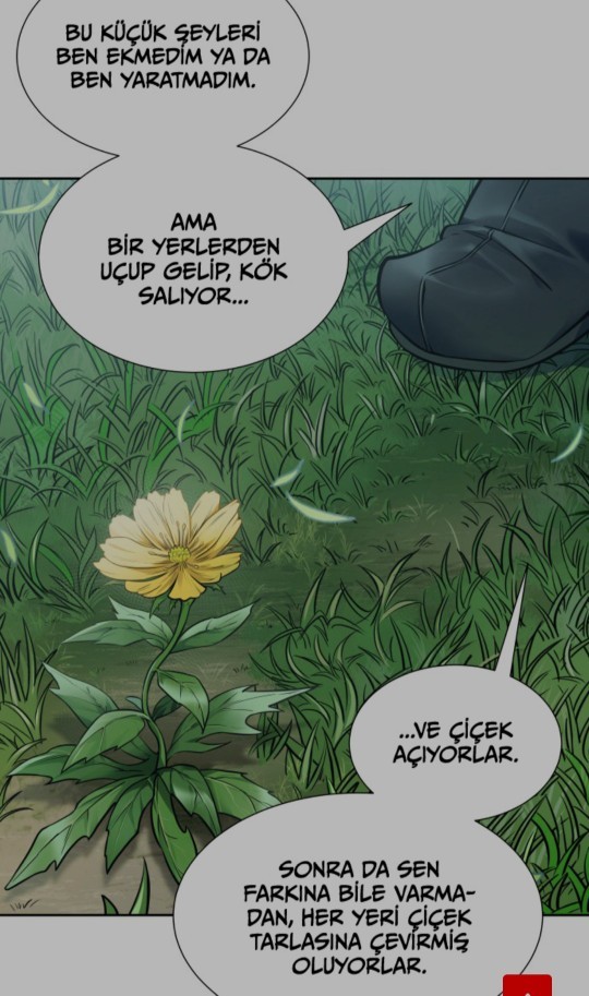 Kendi Bahçenizdeki ot mu göze batar? Yoksa komşunun bahçesindeki ot mu?