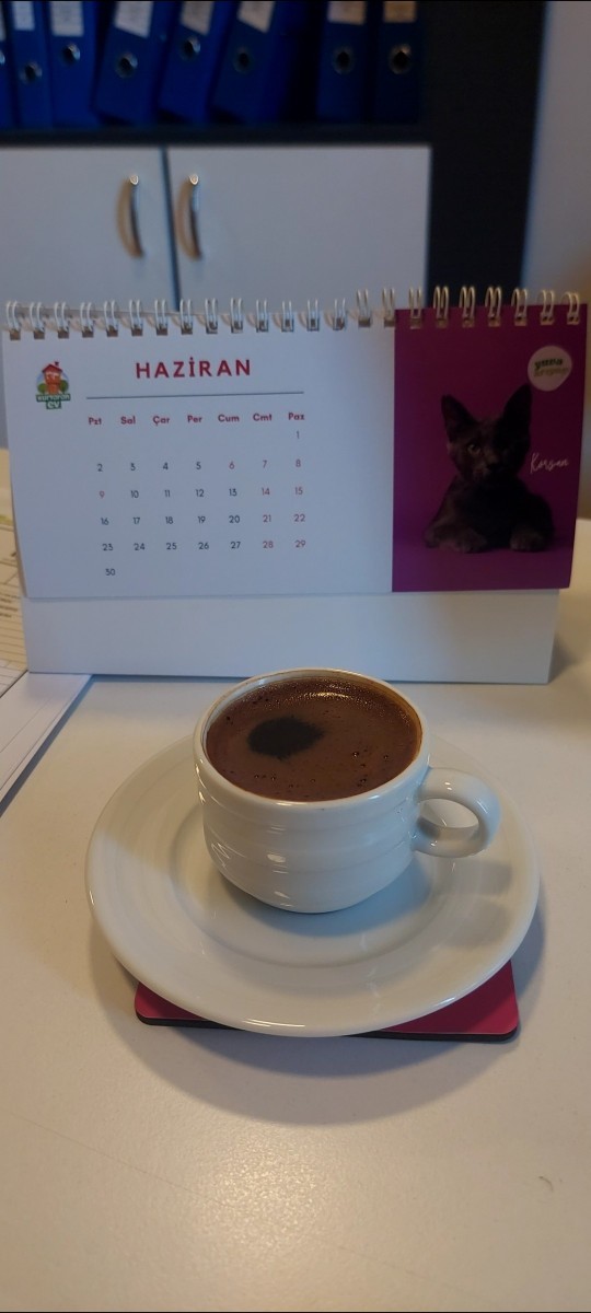 Kahveler içildi mi?
