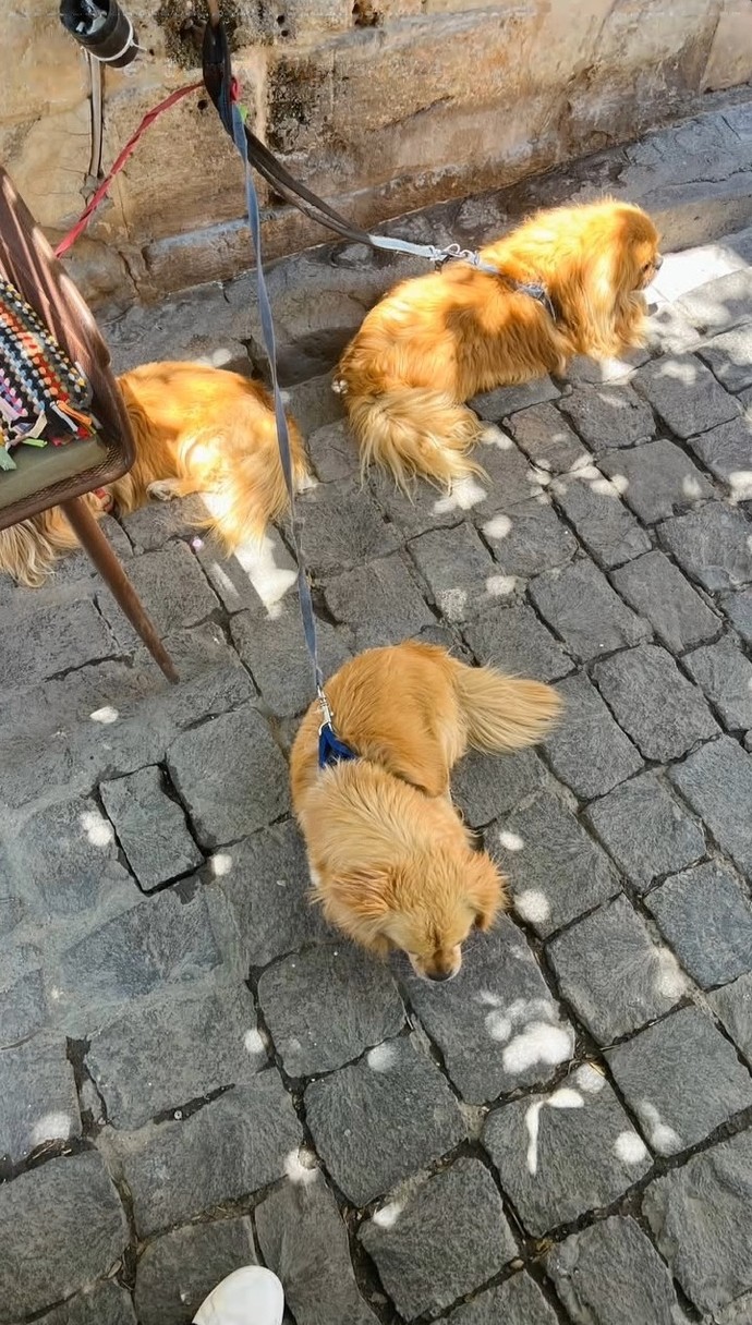 Sizce yaz sıcakları mı yoksa insanlar mı daha yorucu?