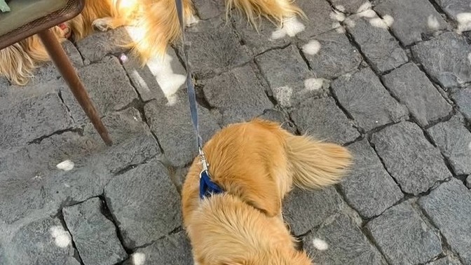 Sizce yaz sıcakları mı yoksa insanlar mı daha yorucu?