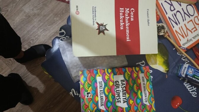 Sizin ilginizi hangi kitap çekiyor?