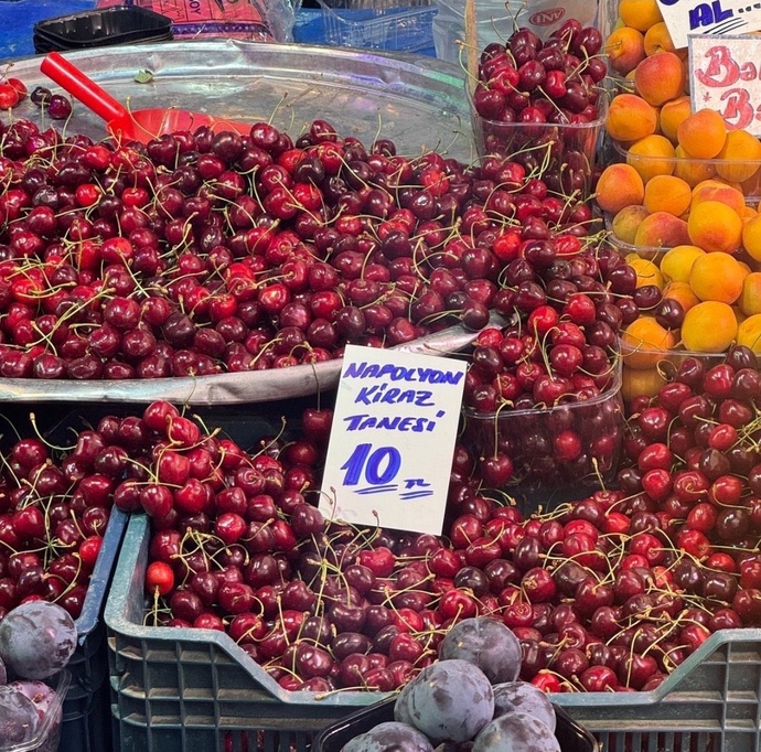 Türkiye yüzyılını nasıl buldunuz?