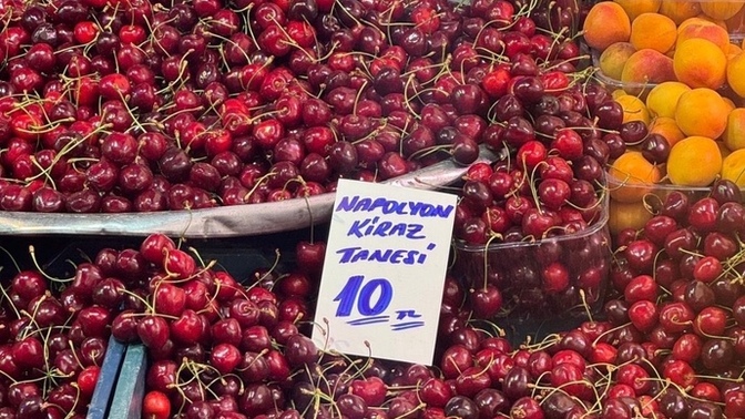 Türkiye yüzyılını nasıl buldunuz?