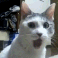 Çift bileklikler takar mısınız ailenizle?