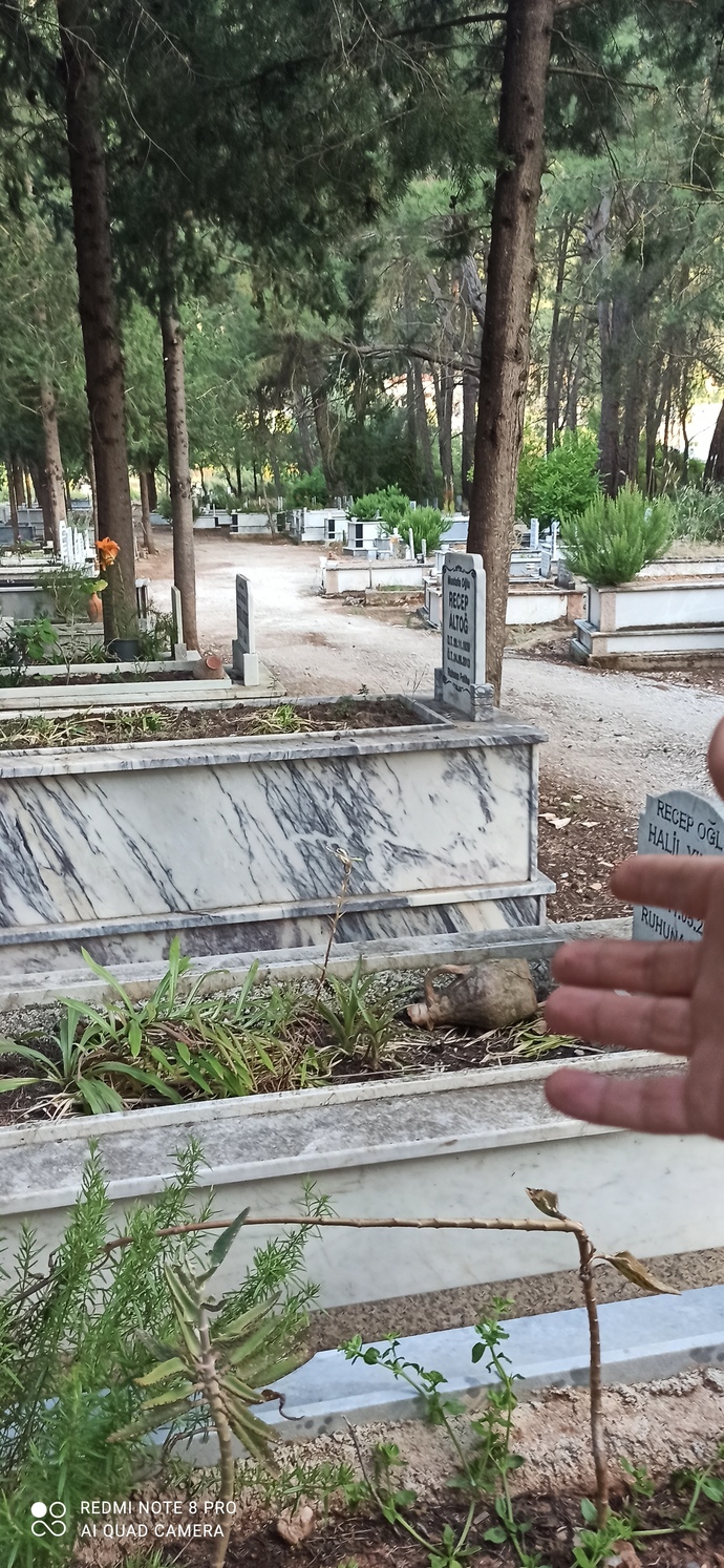 Doktorlara her şeyi anlattım iyi olurum değil mi zamanla?