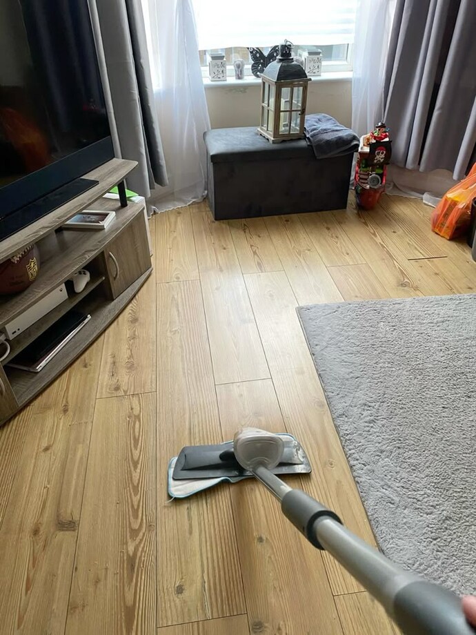Evinizi başkası temizleyebilir mi?