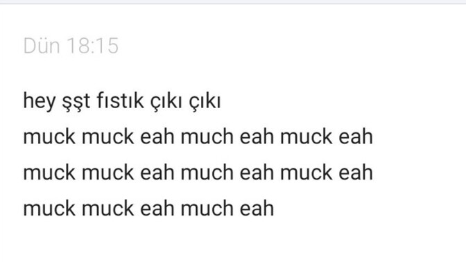 Arkadaşlar size de sapıklar yazıyor mu?