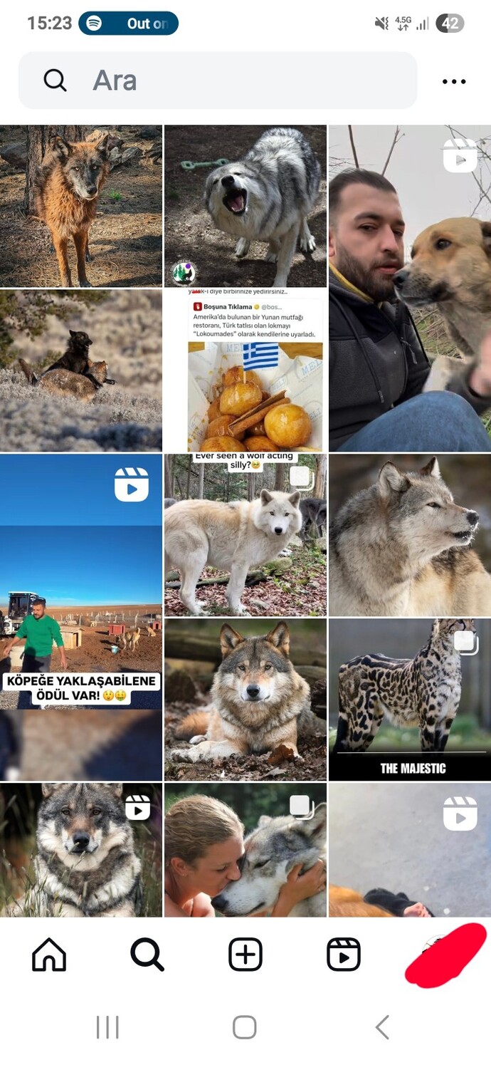 Son zamanlarda Instagram keşfetiniz, hangi tarz paylaşımlarla doldu?