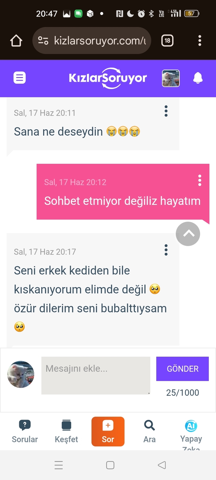Erkek kediden kıskanamazsın yaaaaaaaa🤦🏼‍♀️