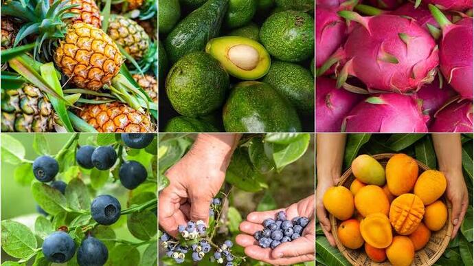 Hindistan cevizi/ avokado ve ananas üçlüsünden hangisi hoşunuza gidiyor?