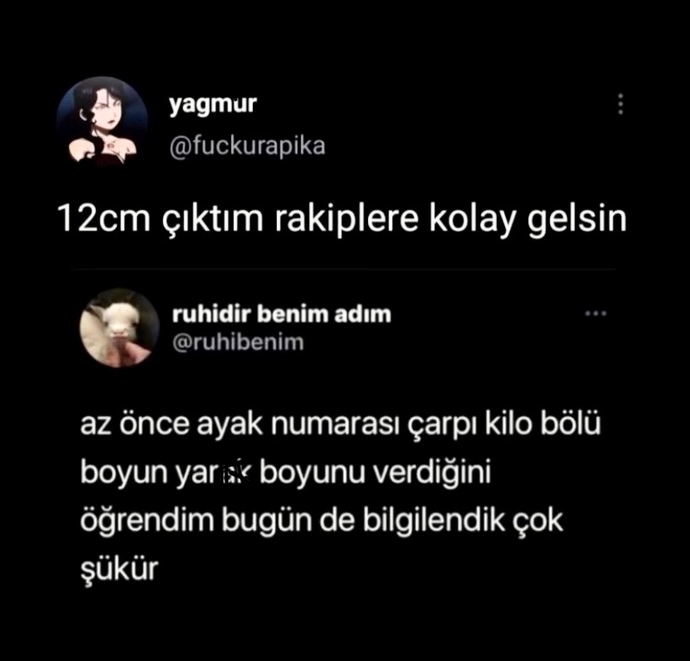 Matematik her zaman doğru söyler mi?