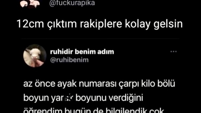 Matematik her zaman doğru söyler mi?