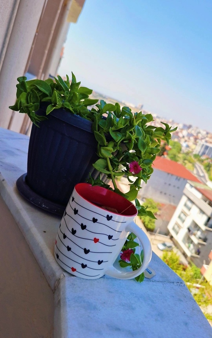 Çay şekerli mi içilir yoksa şekersiz mi?