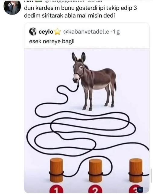 Eşek nereye bağlı?