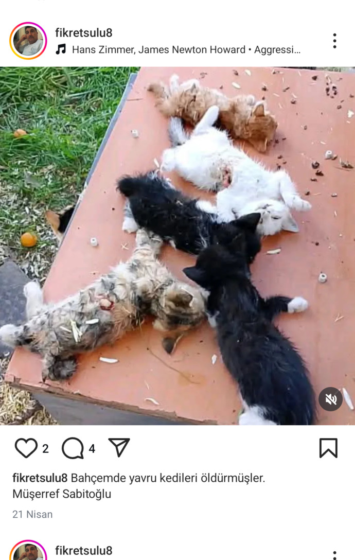 Hayvanlara yapılan zulüm bitmiyor yapan ve destekleyenlerin aramızda dolaşması ne kadar güvenilir?